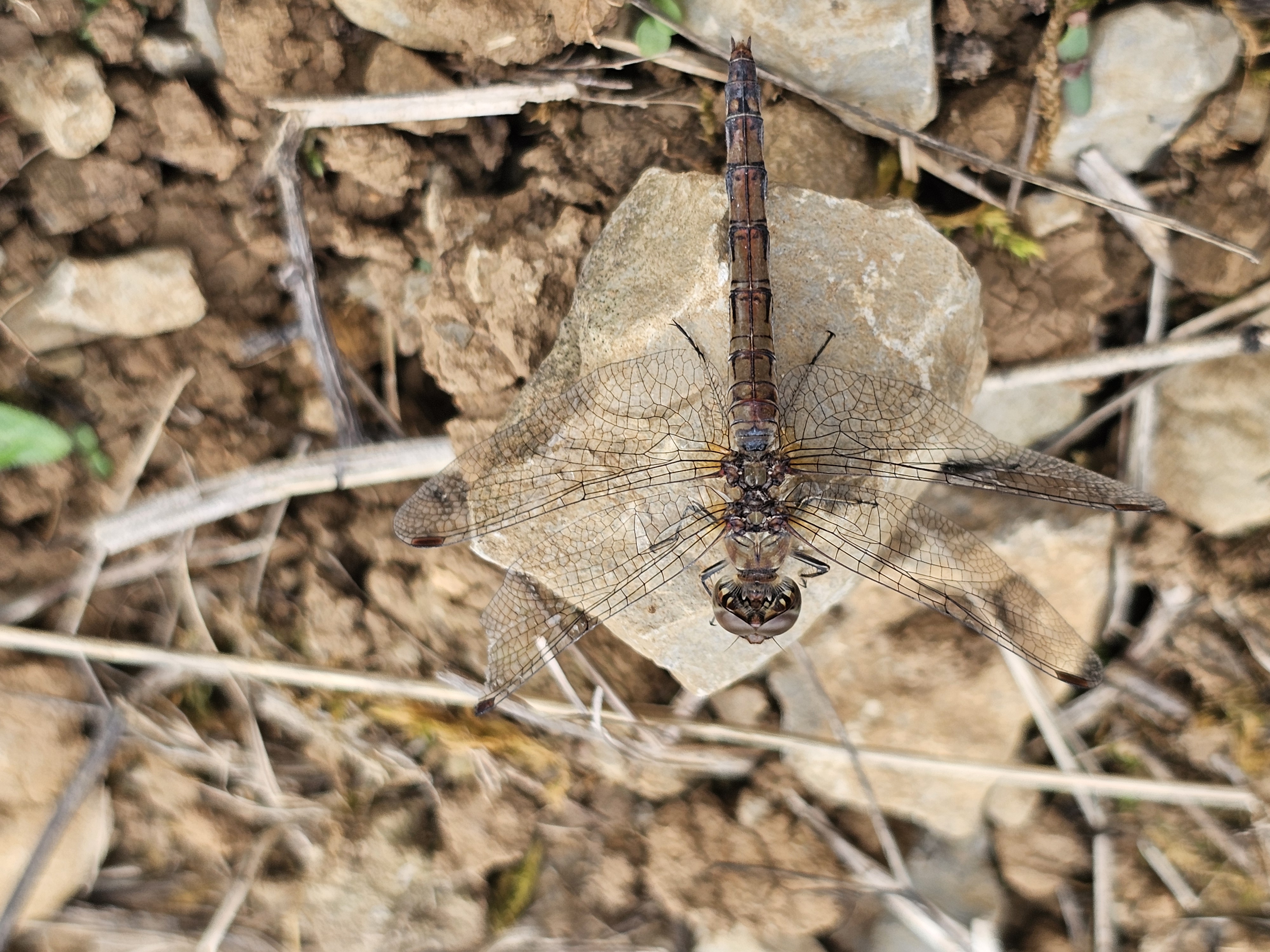 Biosphäre erleben und verstehen