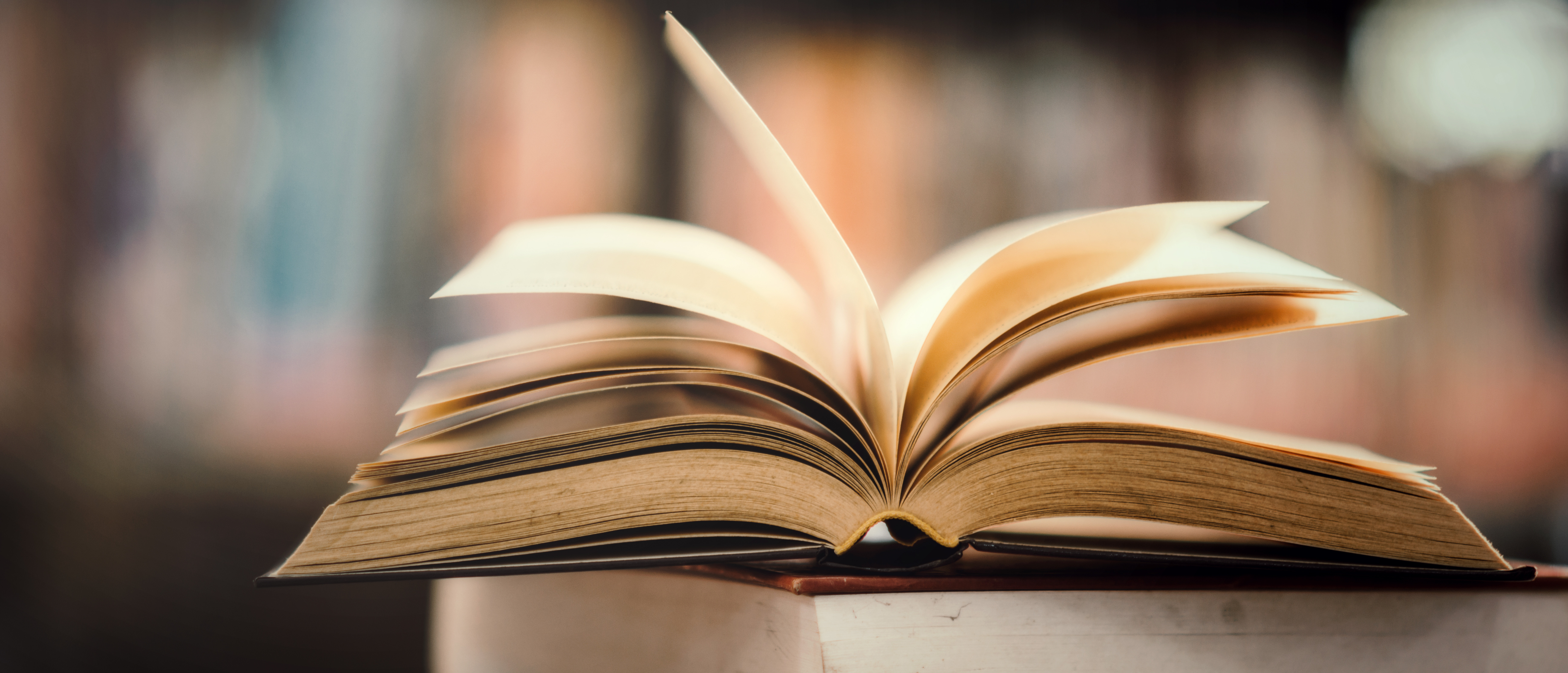"Der Schoppenfetzer" - Autorenlesung