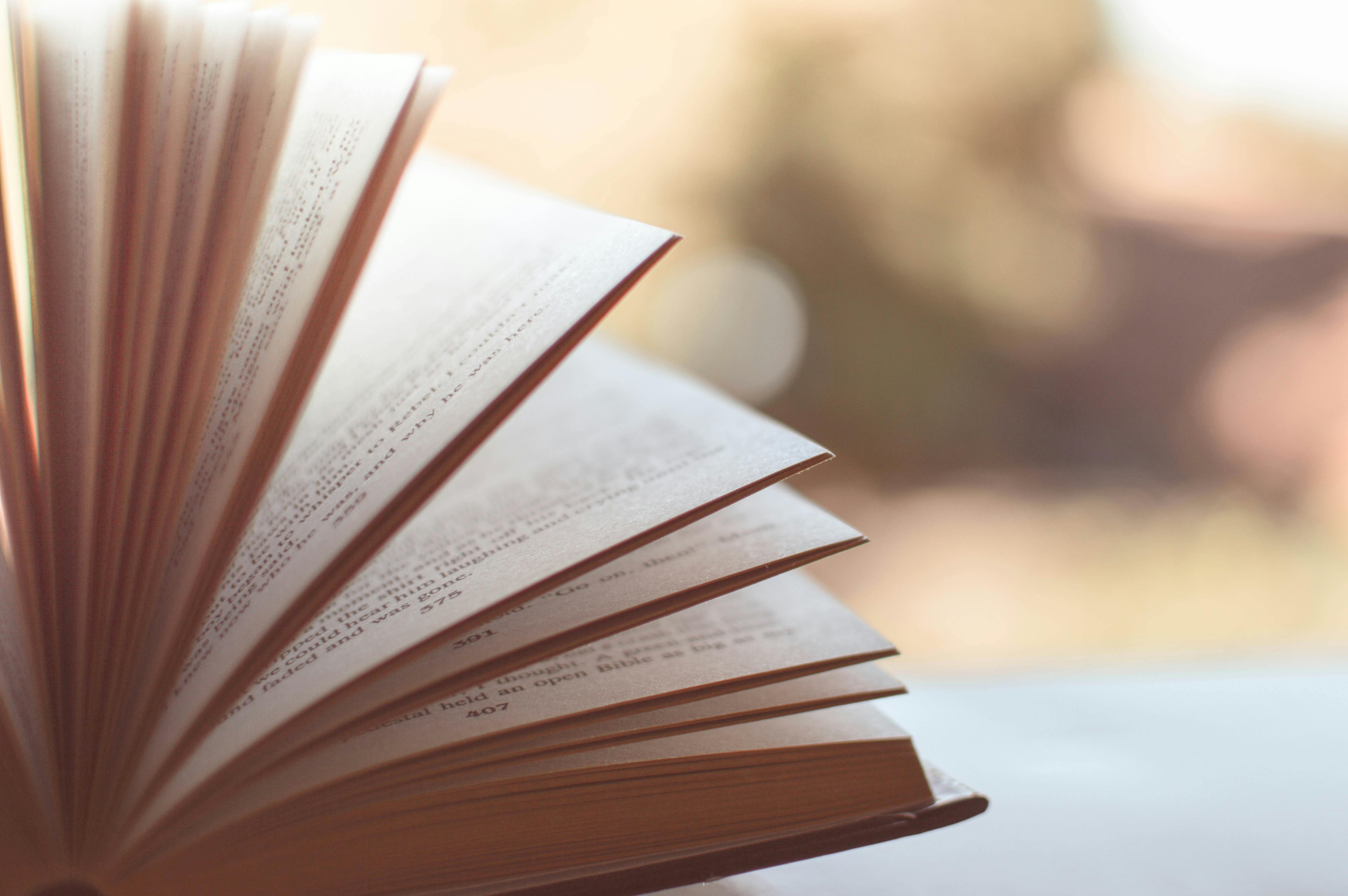 Autorenlesung mit Leif Allendorf