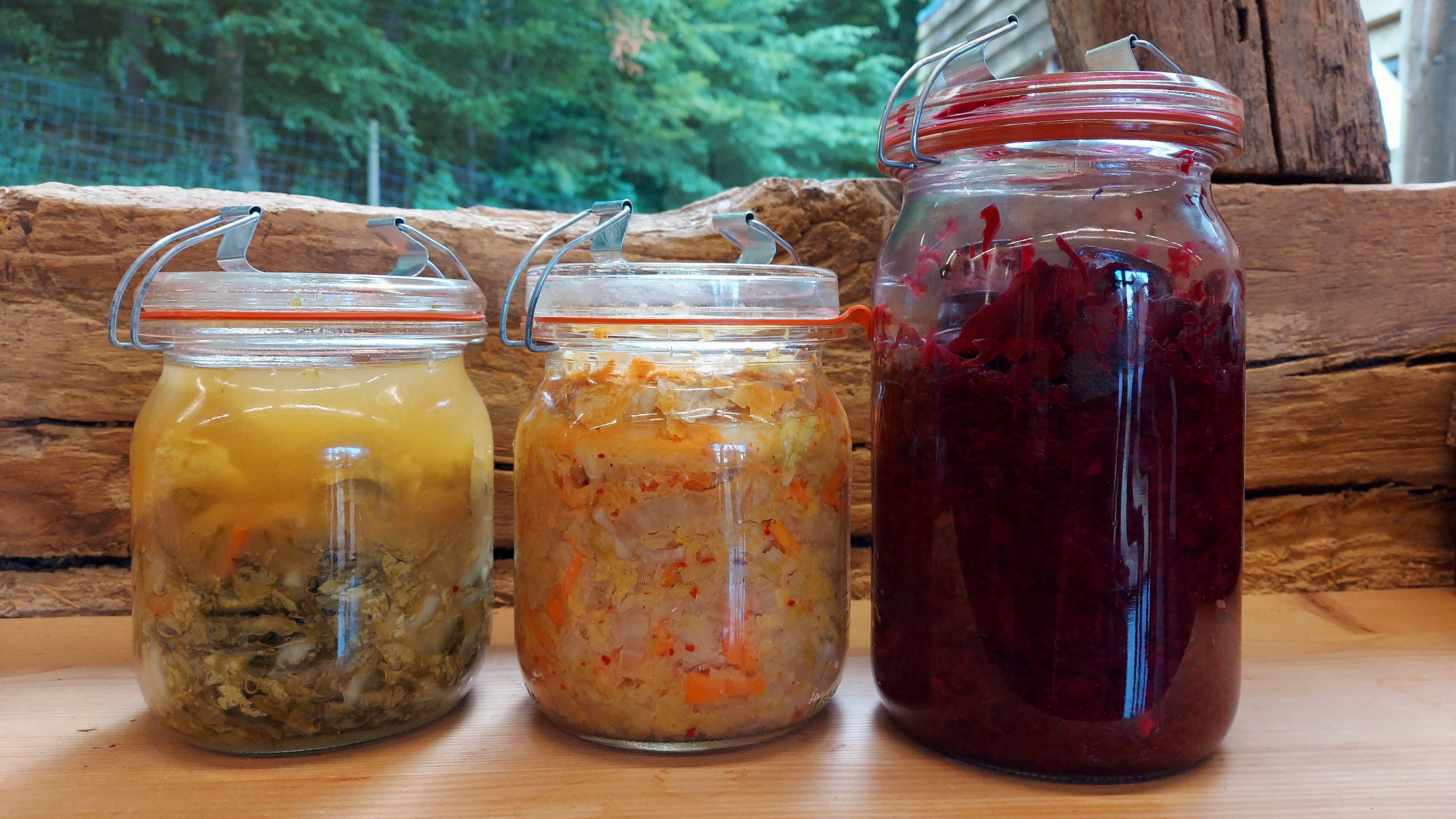 Praxiskurs: Fermentieren