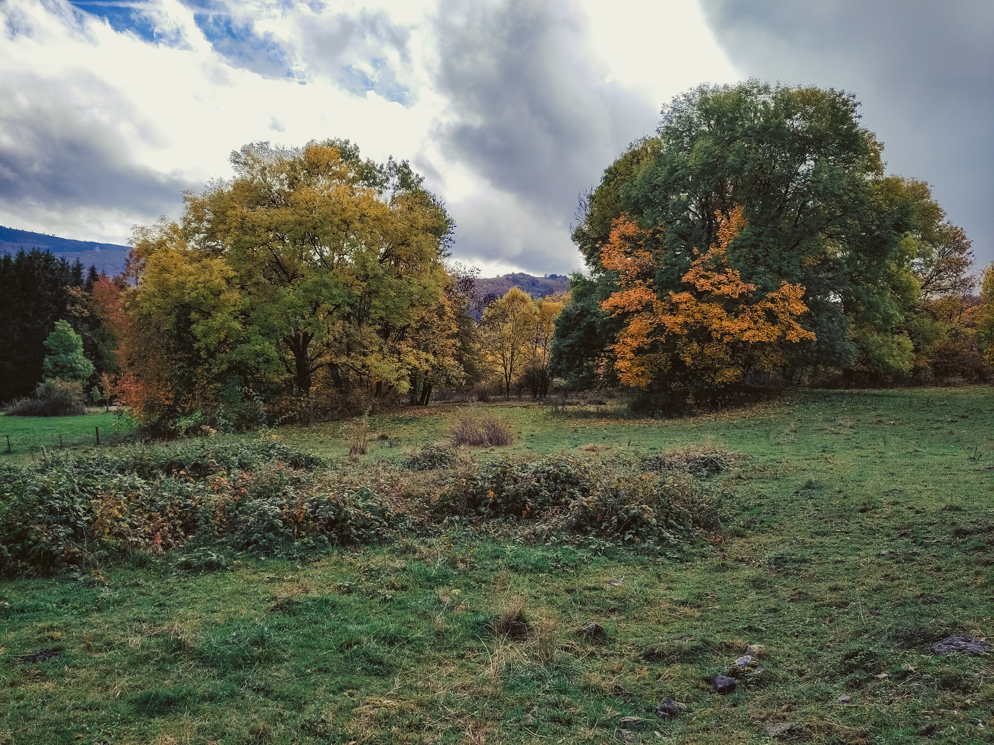 Kräuterwanderung